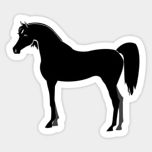 Black Arabian Sticker